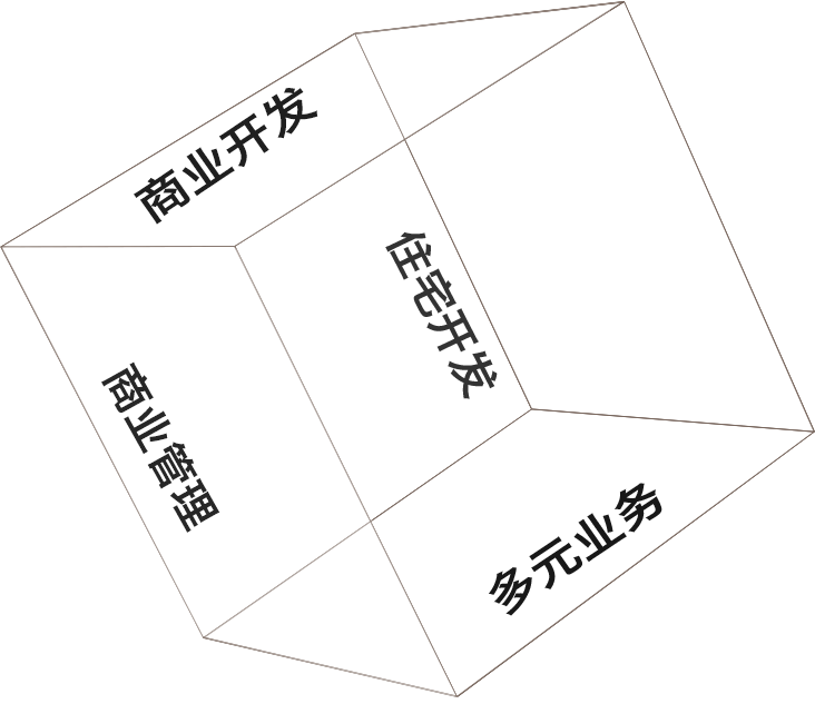 住宅開發(fā),商業(yè)開發(fā),商業(yè)管理,多元業(yè)務(wù)